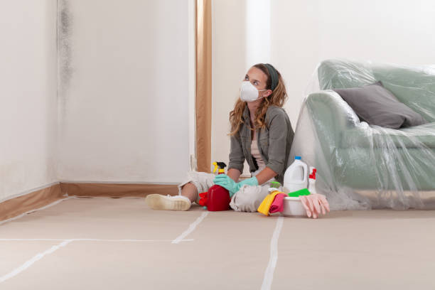 Reliable Mold Testing contractor in Pomfret, MD by WQB Mold Removal